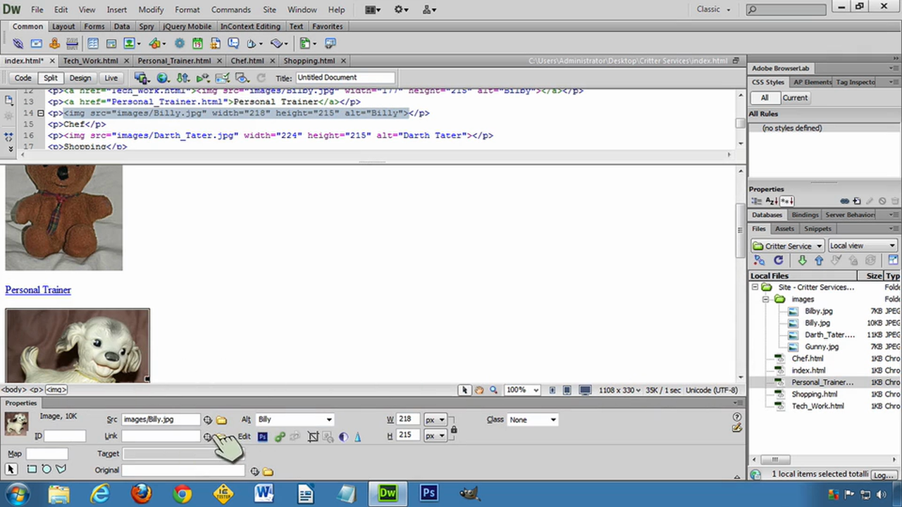 DW6U02C: Creating Pages
