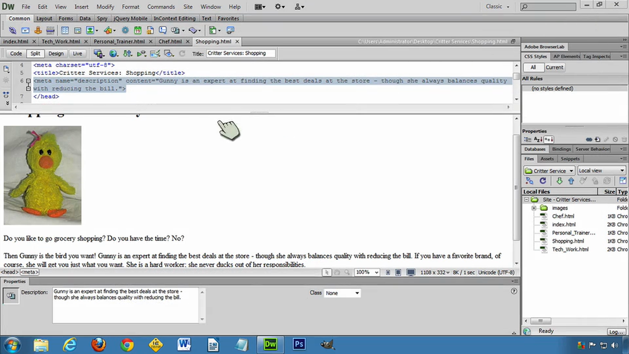 DW6U02D: Metadata for Pages