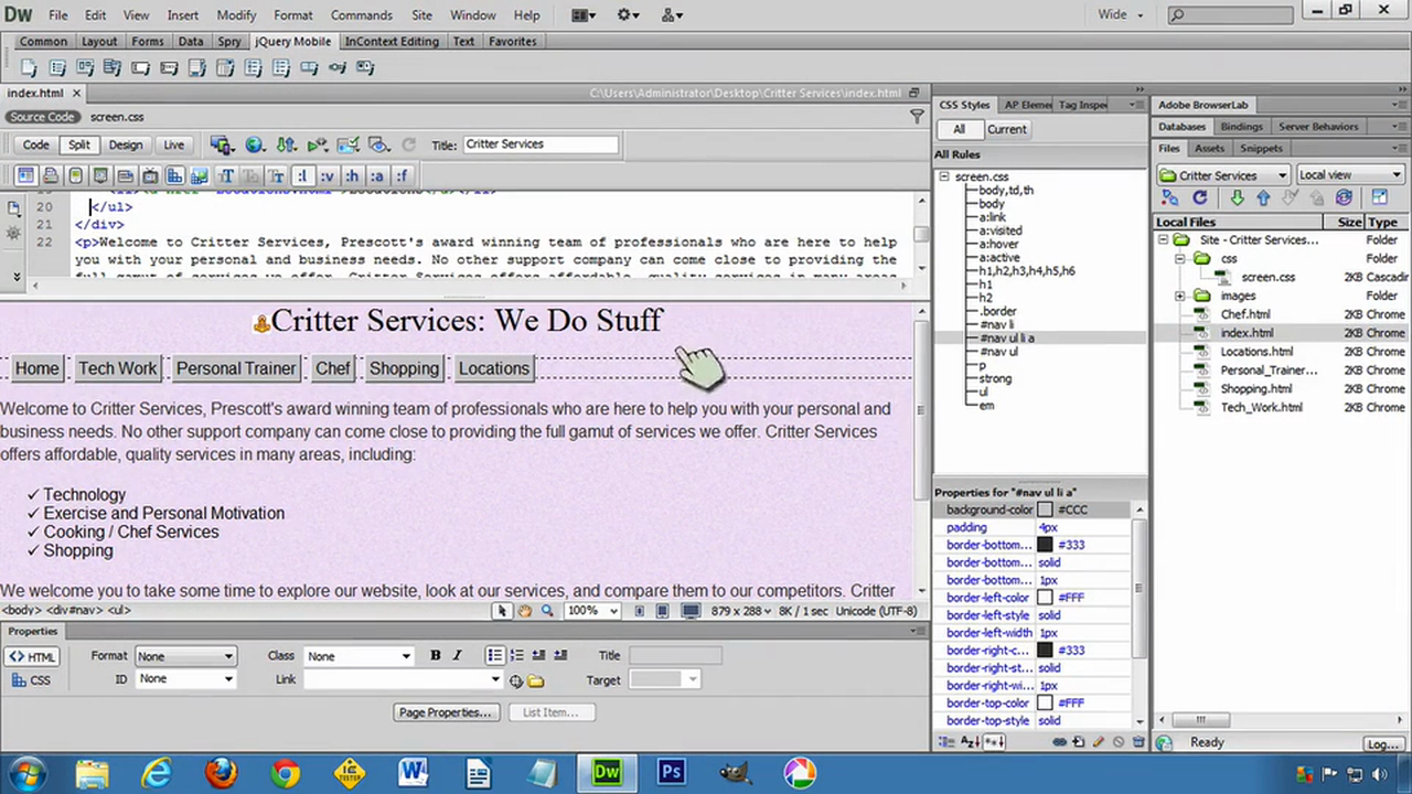 DW6U06D: Styling Navigation