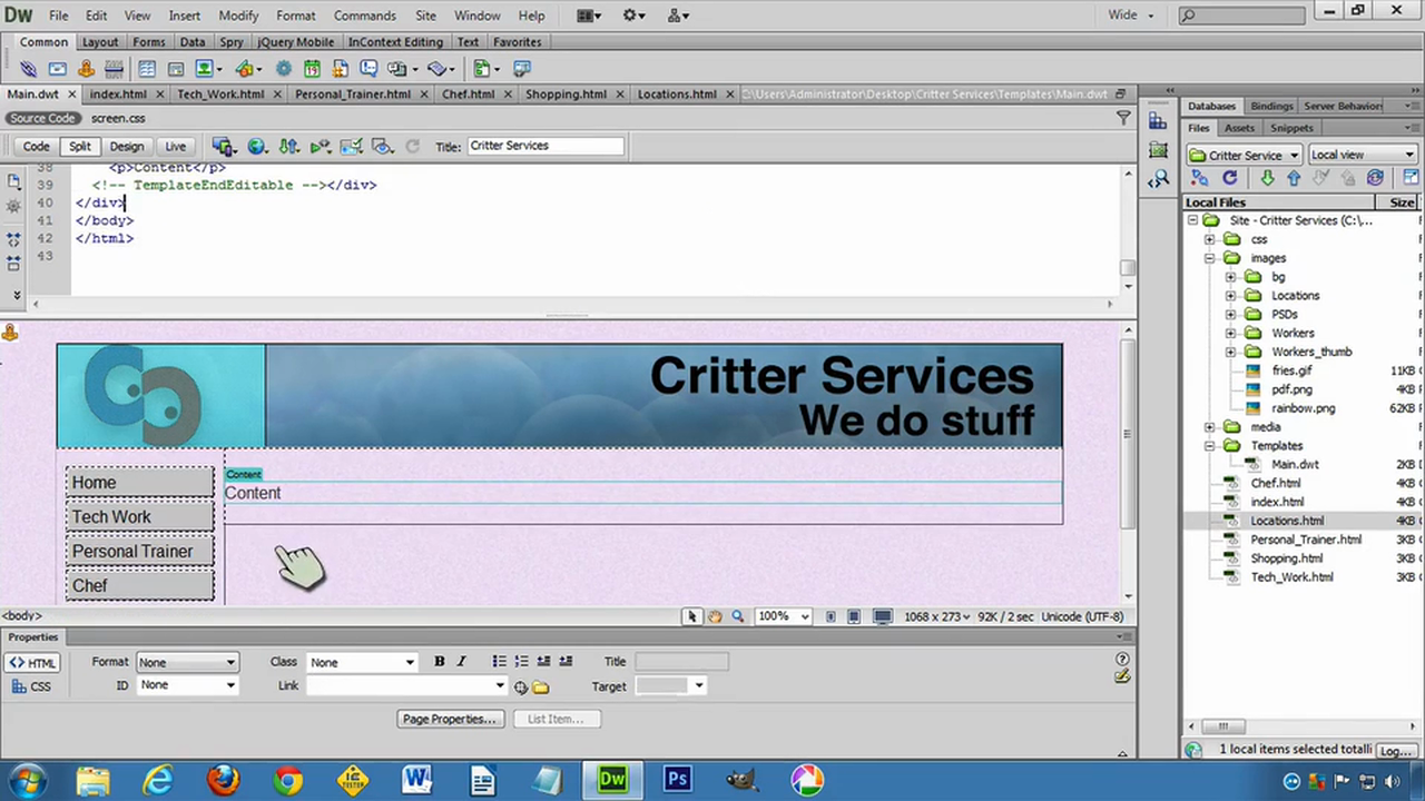 DW6U09C: Template Attributes
