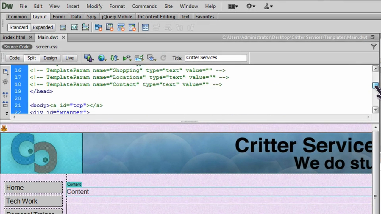 DW6U12D: Adding Web Fonts