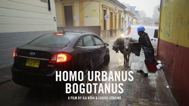 Homo Urbanus Bogotanus