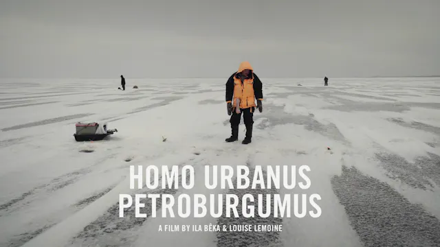 Homo Urbanus Petroburgumus