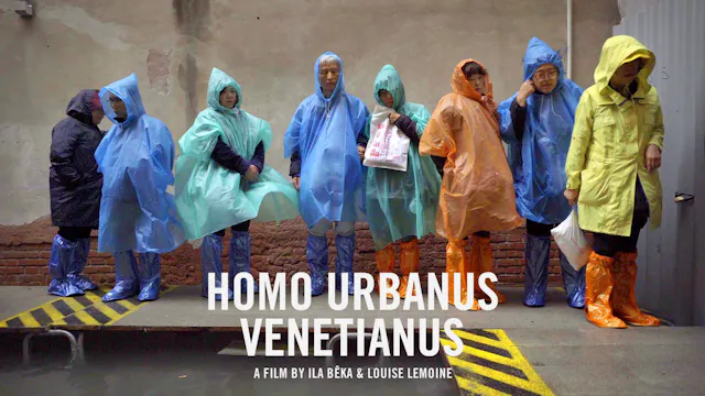 Homo Urbanus Venetianus