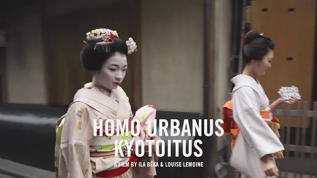 Homo Urbanus Kyotoitus