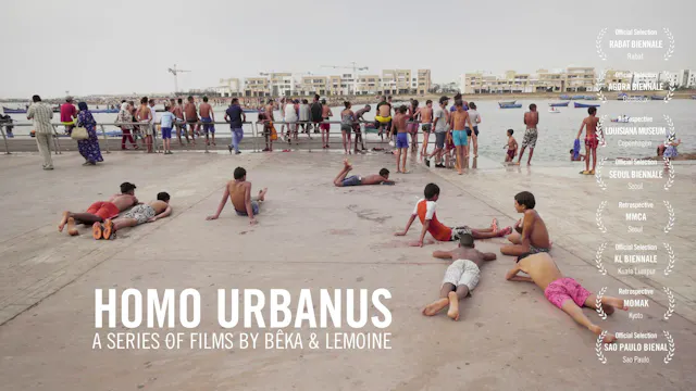 Homo Urbanus