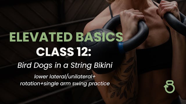 Elevated Basics, Class 12: Bird Dogs ...