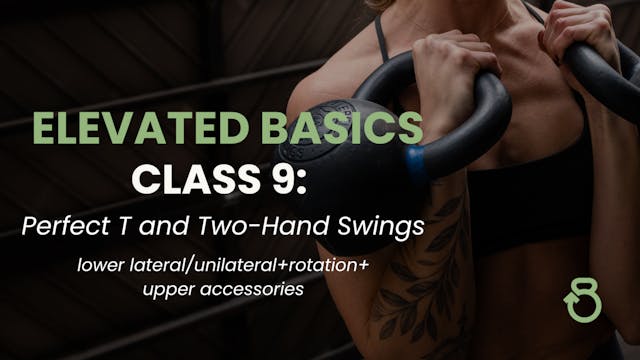 Elevated Basics, Class 9: Perfect T and Two-Hand Swings (STRENGTH)