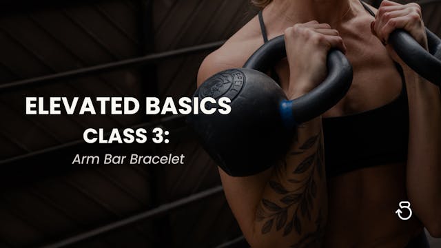 Elevated Basics, Class 3: Arm Bar Bra...