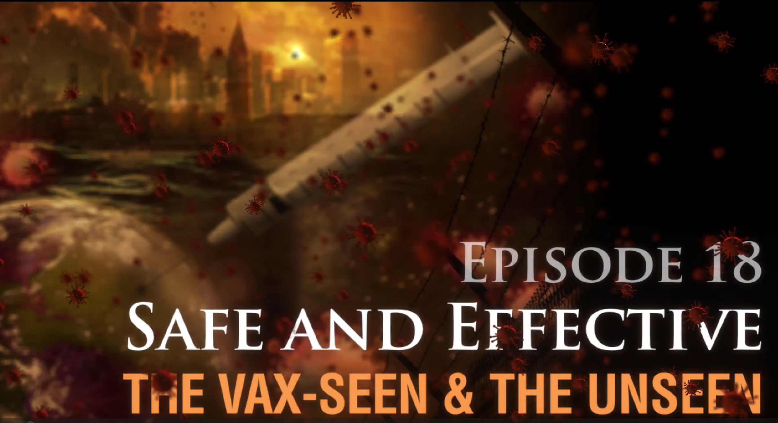 Safe and Effective: The Vax-seen and the Unseen video 18