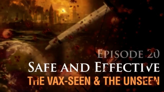 Safe And Effective The Vax-seen and the Unseen, (video #20)