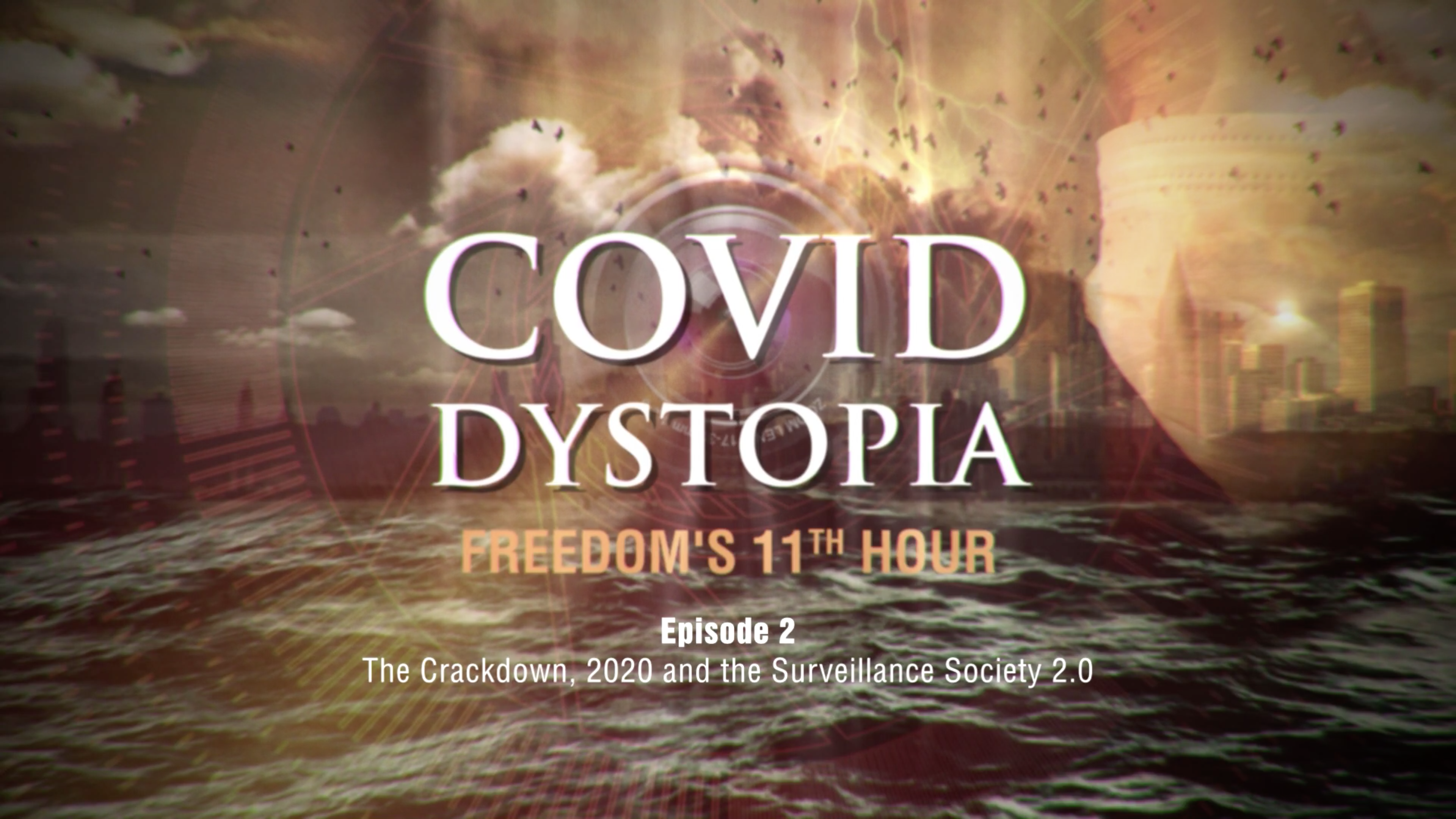 Episode 2: The Crackdown 2020 and the Surveillance Society 2.0