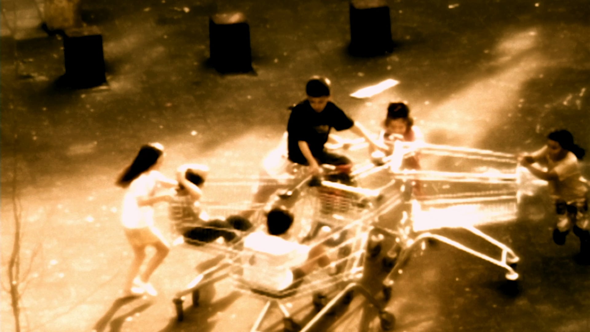 Allard Zoetman "Shopping Carts"