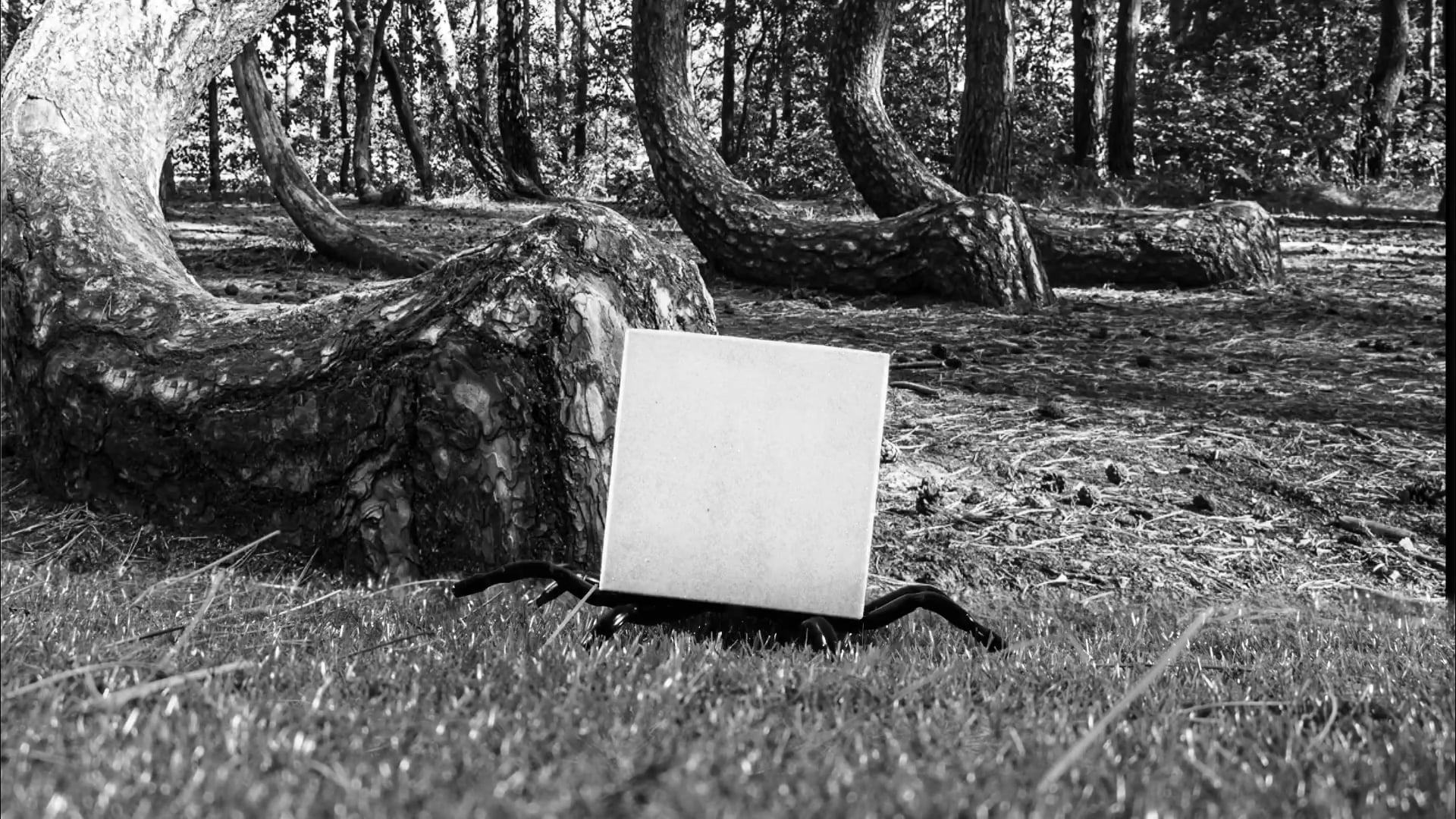 8. Overlords of Waal