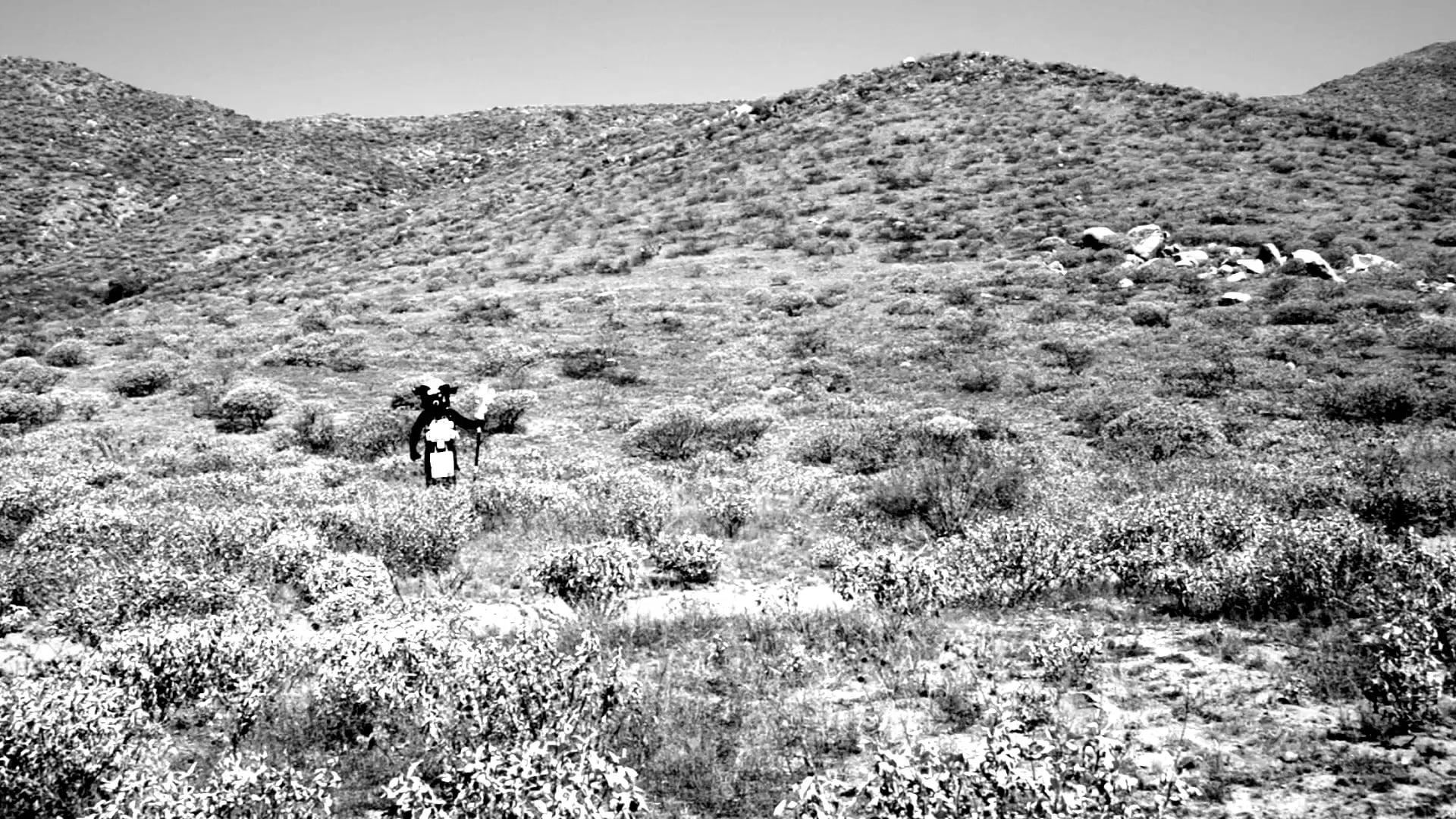 7. Carnivorous Life Forms