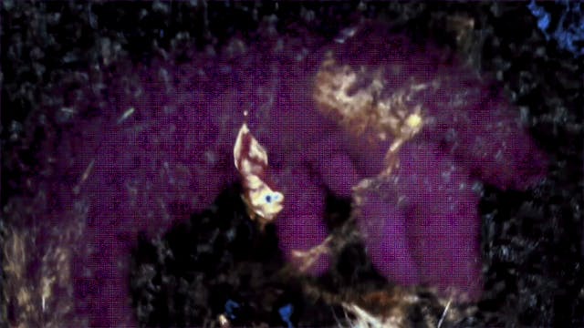 Dissociative Reach