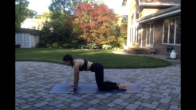 Half Split Flow