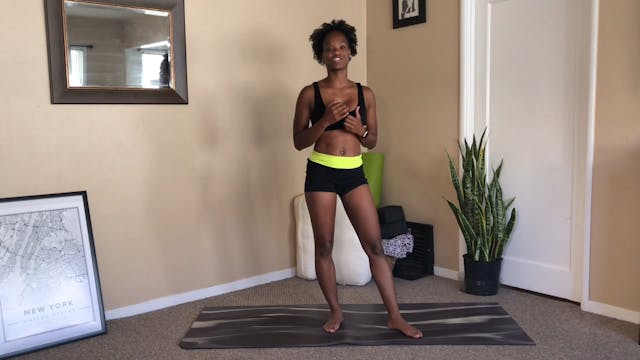 Beginner Level Yoga