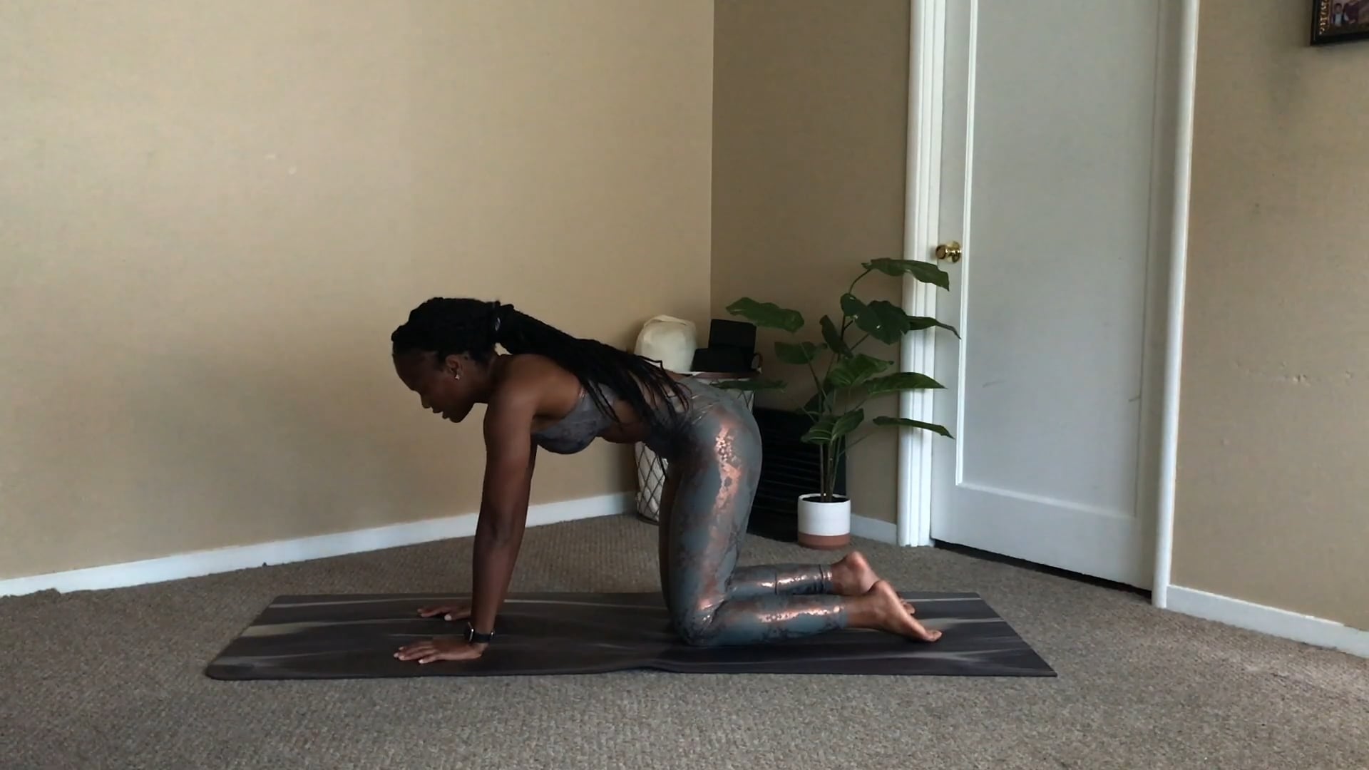 Seated Gentle Yoga