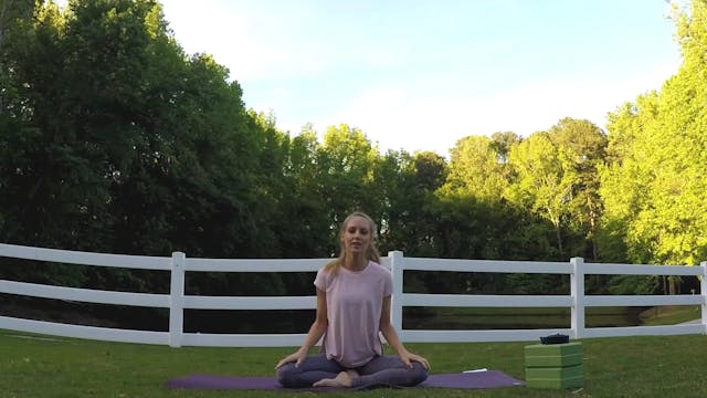 Beginner Challenge Day 6