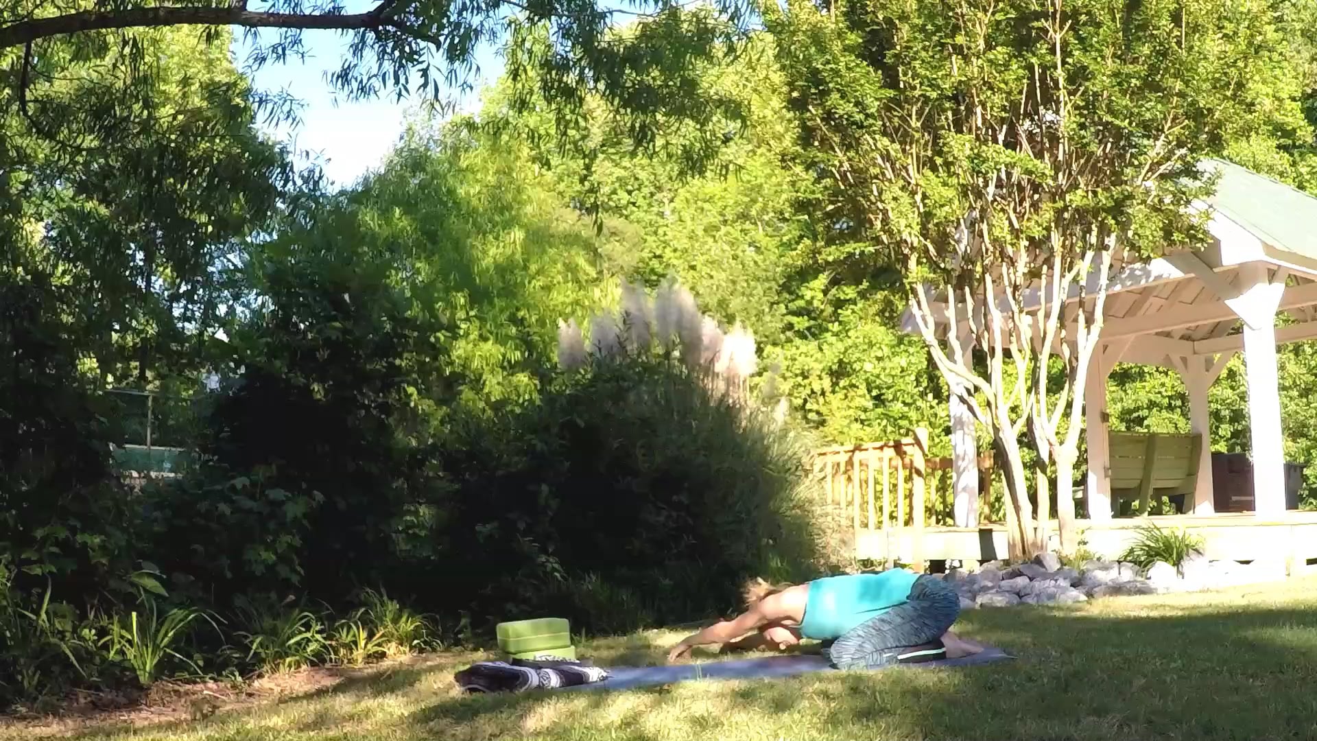 Beginner Challenge Day 24