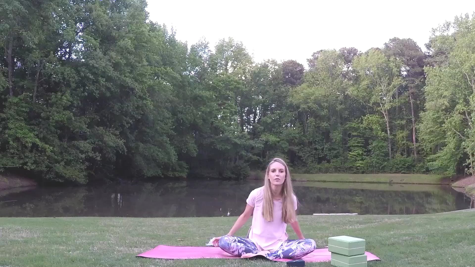 Beginner Challenge Day 3