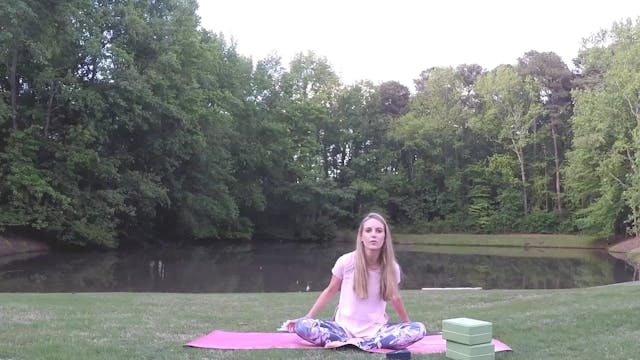 Beginner Challenge Day 3