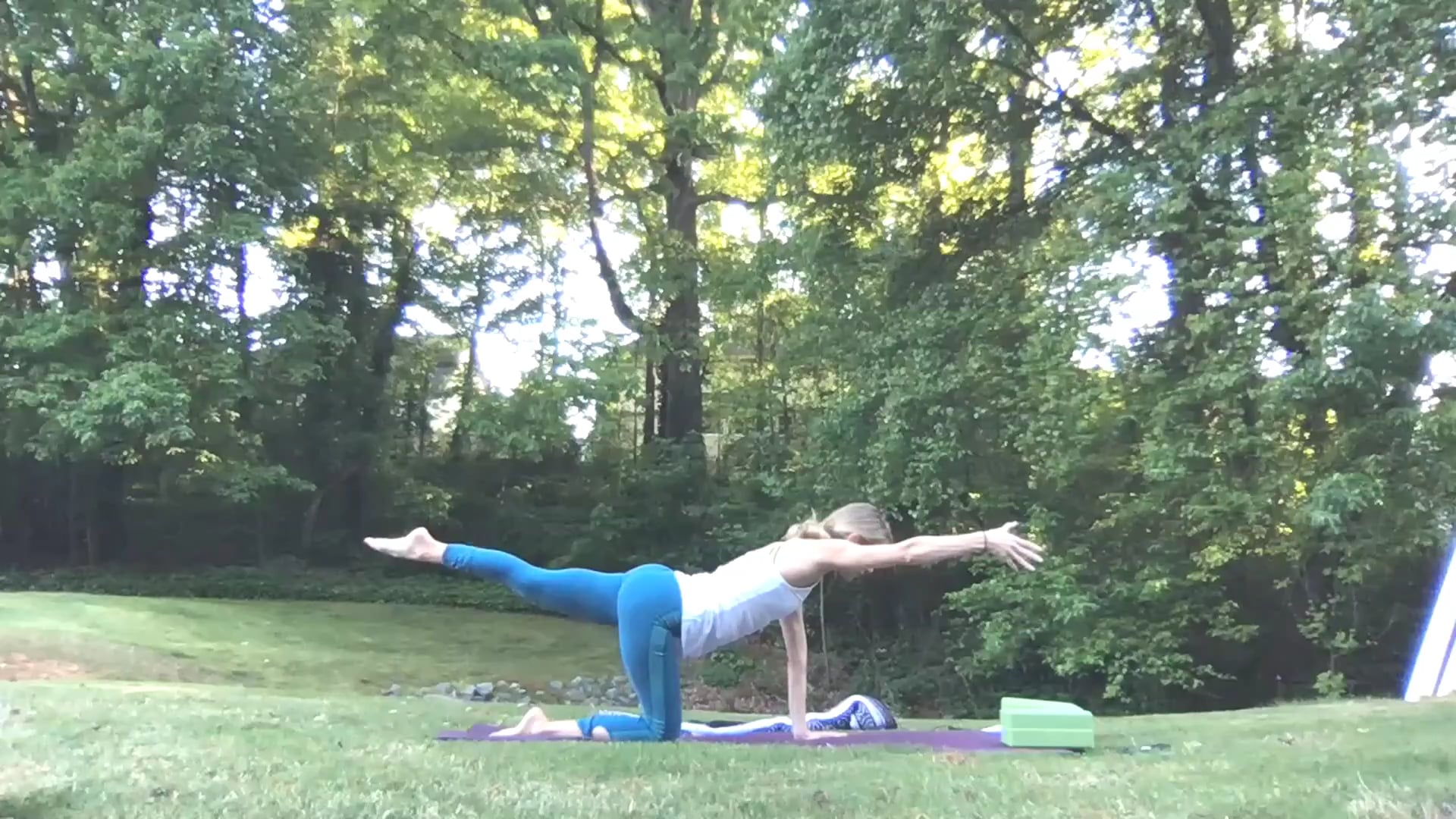 Beginner Challenge Day 8