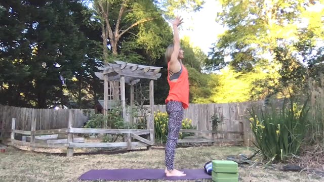 Beginner Challenge Day 2