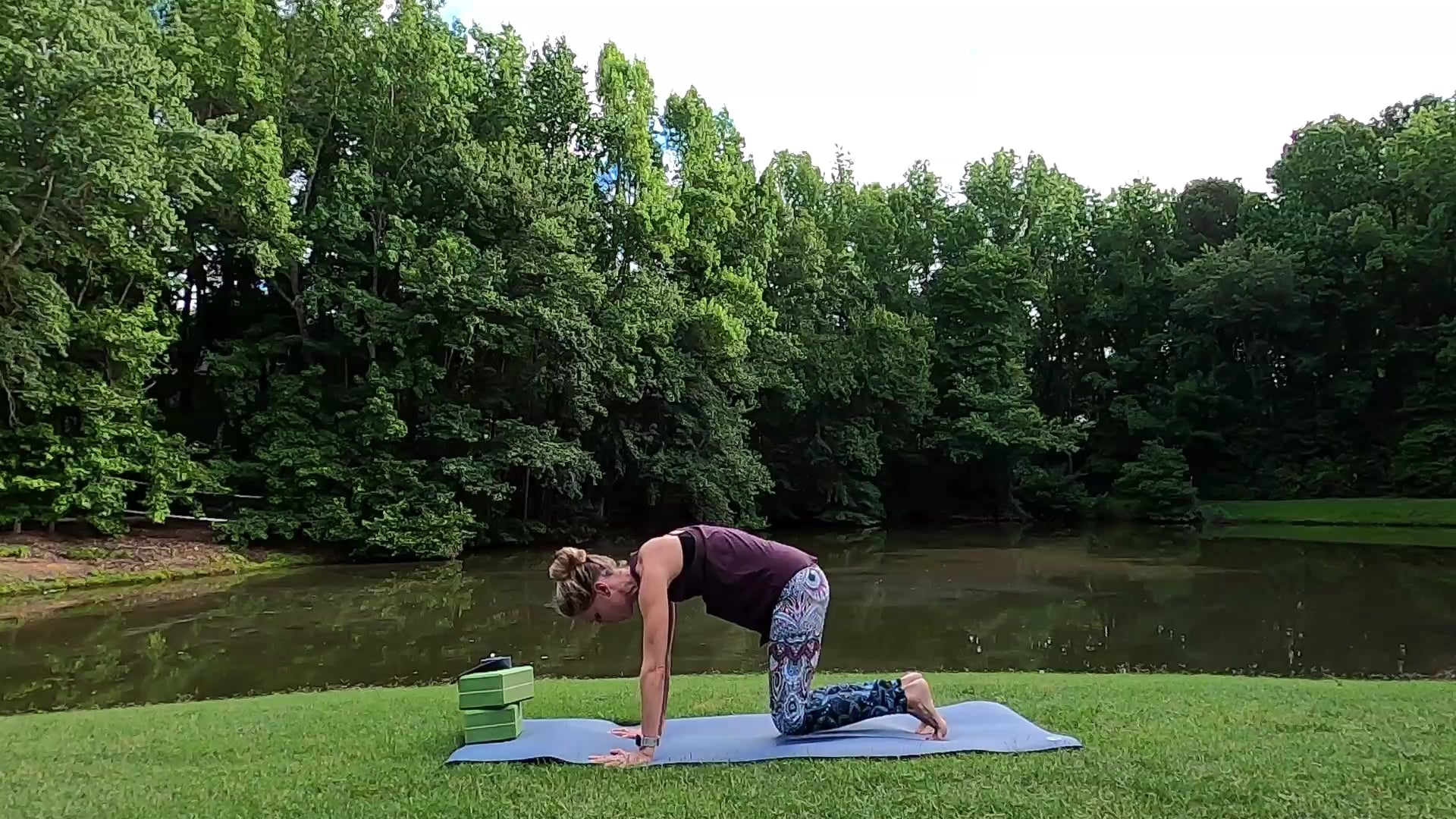 All Levels Challenge Day 12