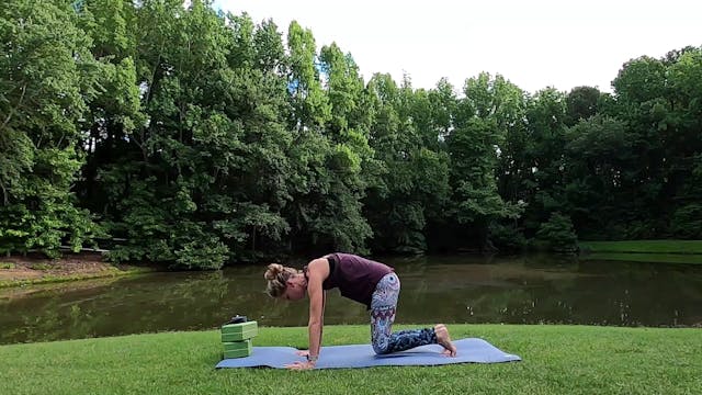 All Levels Challenge Day 12