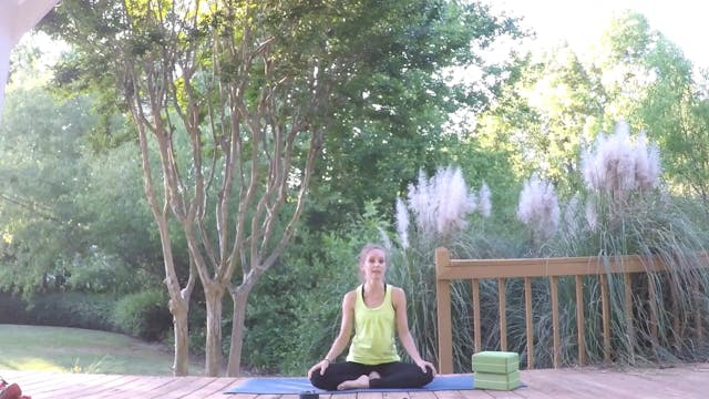 Beginner Challenge Day 15