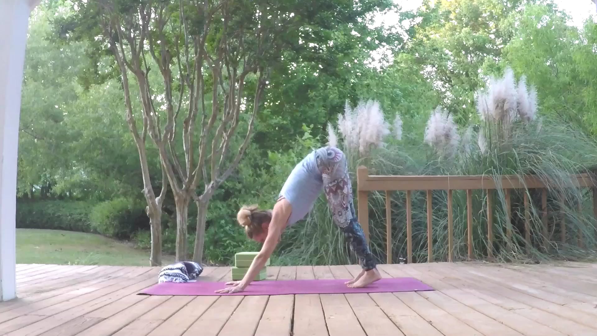 Beginner Challenge Day 22