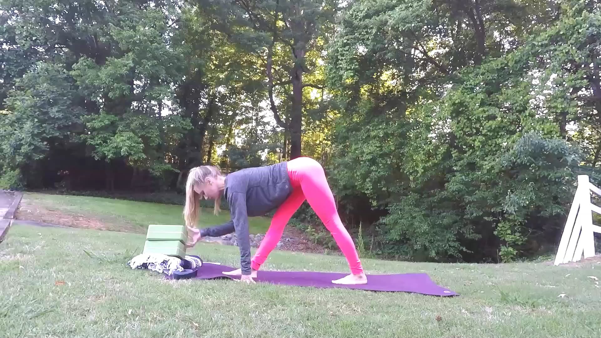 Beginner Challenge Day 19