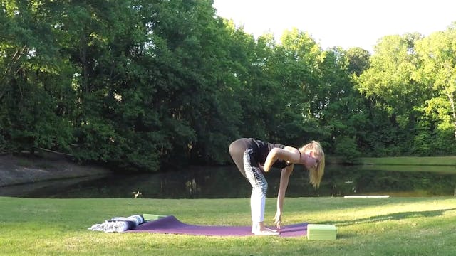 Beginner Challenge Day 30