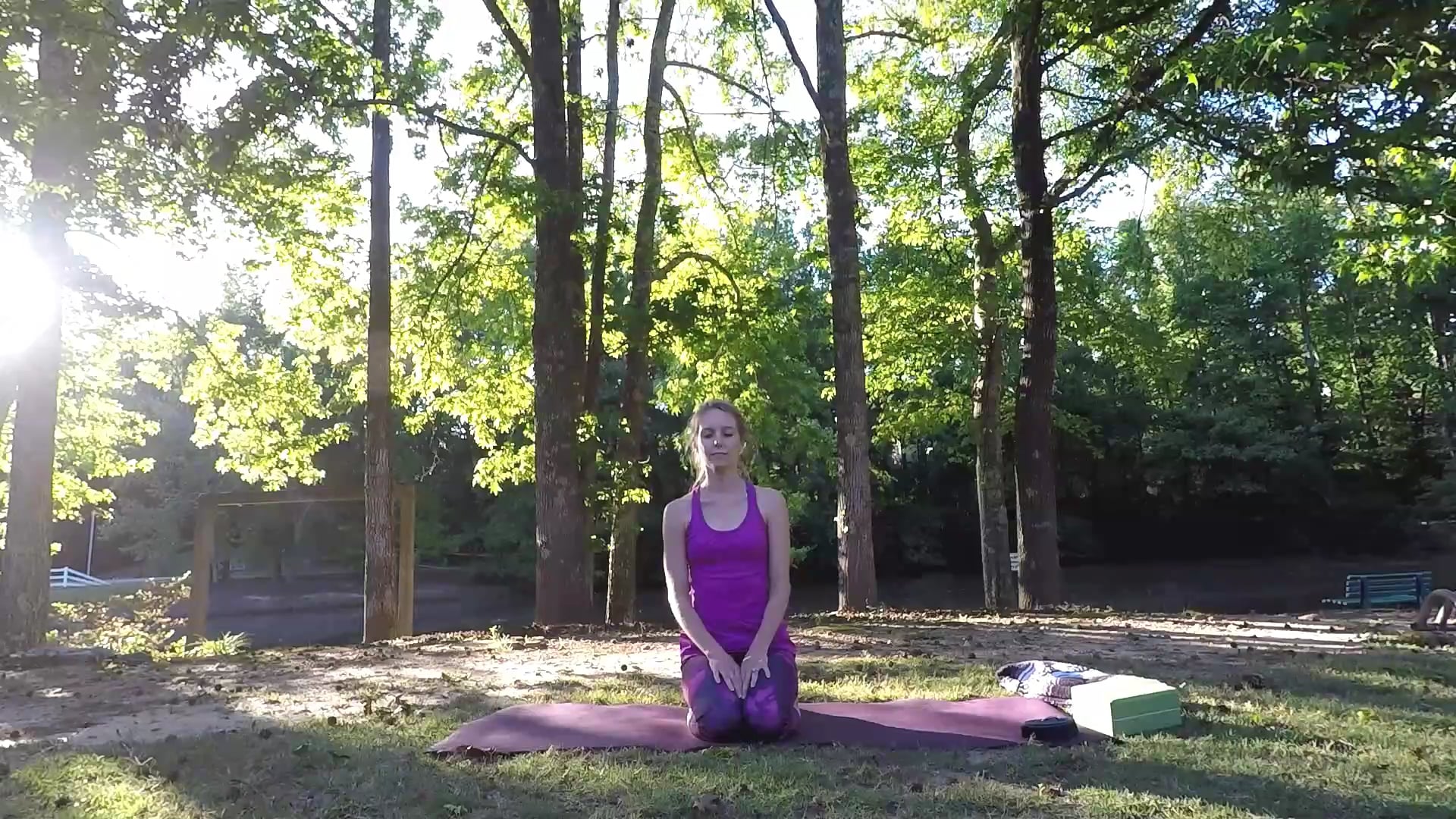 Beginner Challenge Day 29