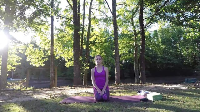 Beginner Challenge Day 29