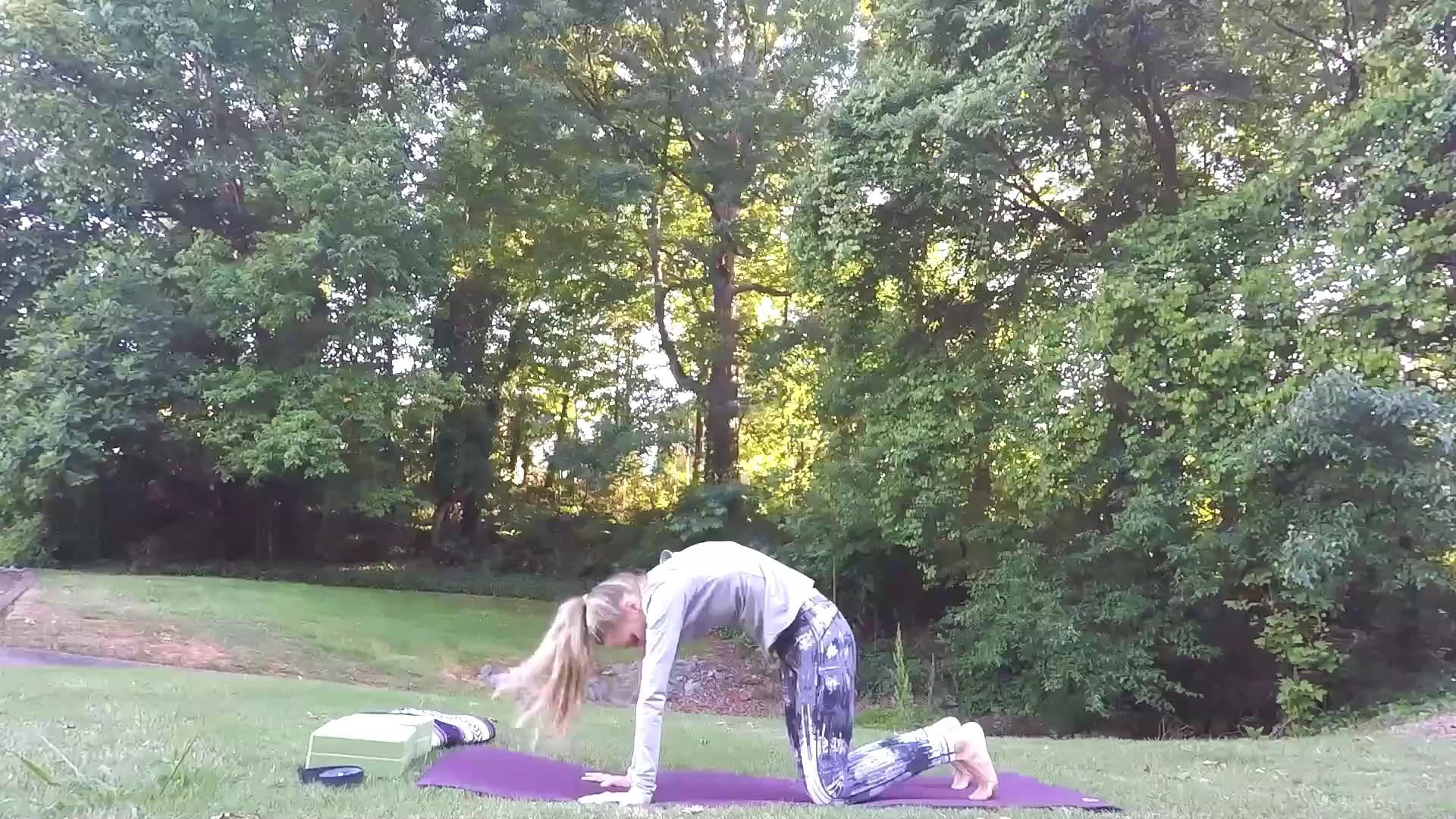 Beginner Challenge Day 28