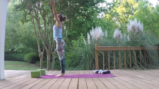 Beginner Challenge Day 12