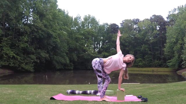 Beginner Challenge Day 9