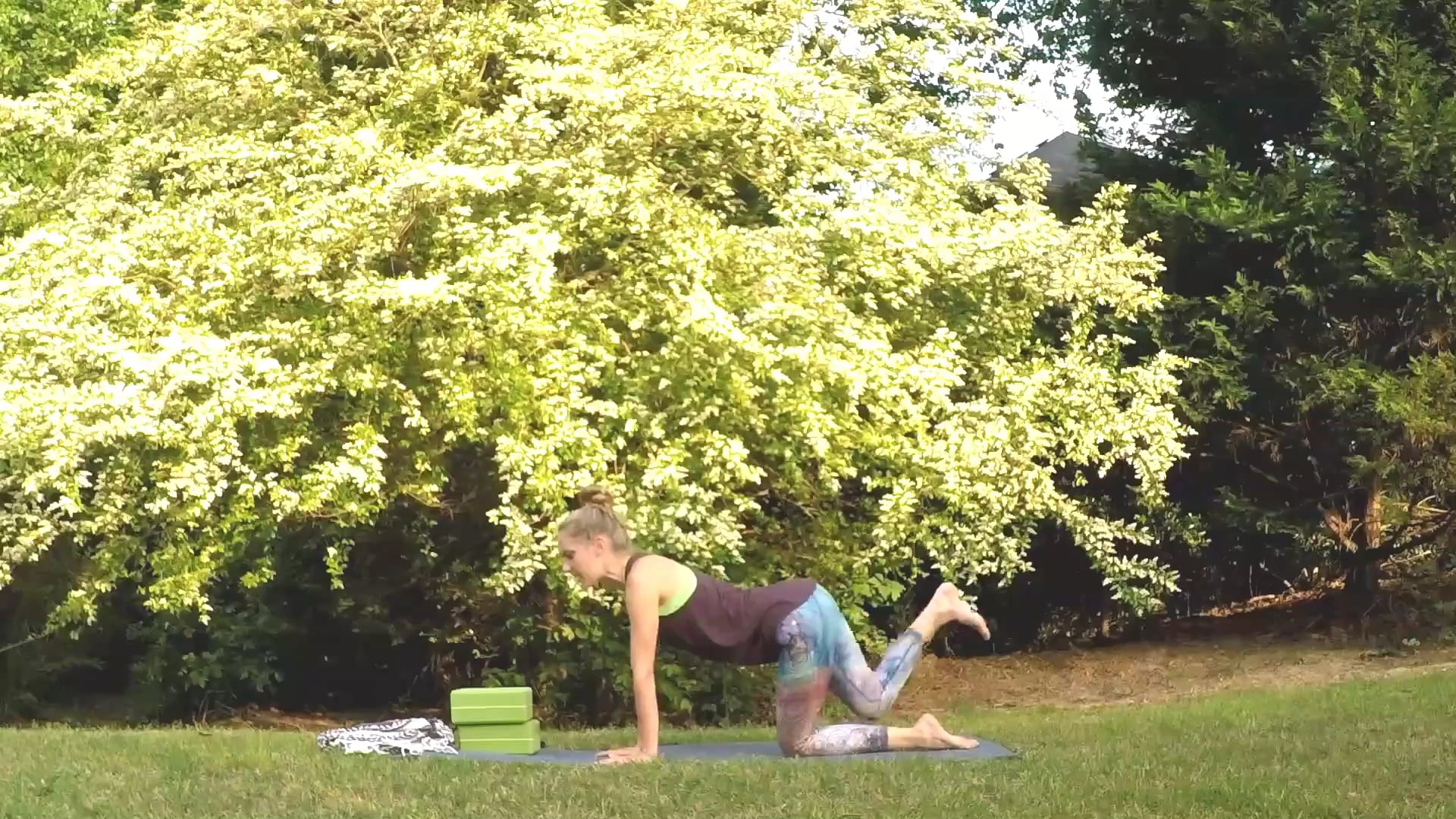 Beginner Challenge Day 16