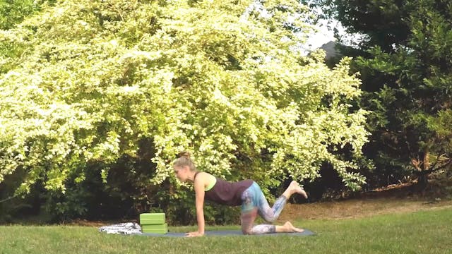 Beginner Challenge Day 16