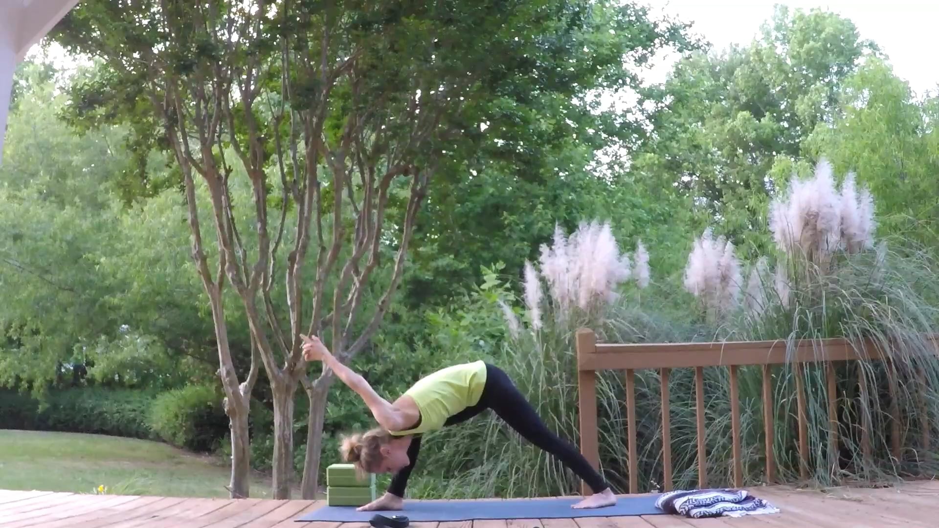 Beginner Challenge Day 25