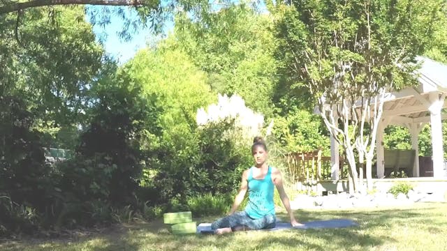 Beginner Challenge Day 14