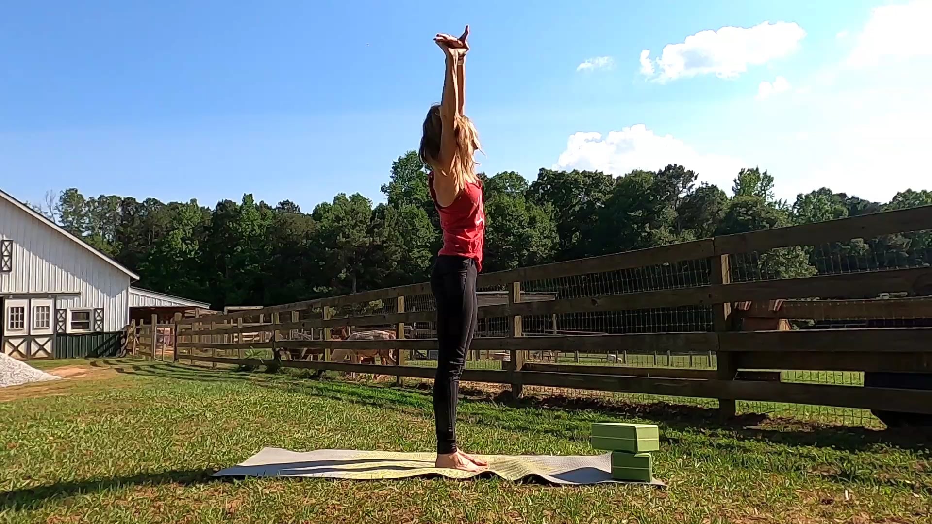 All Levels Challenge Day 2