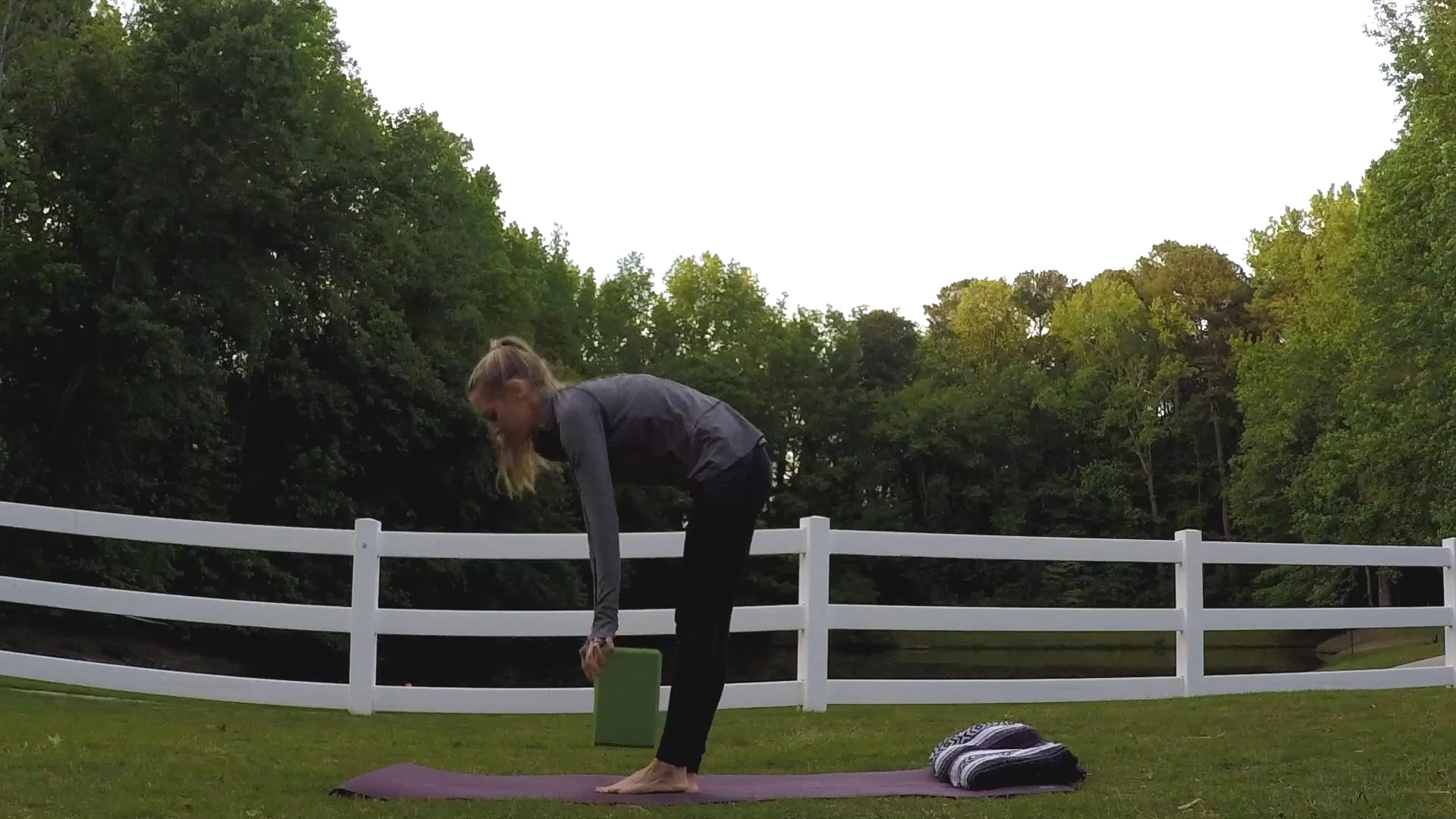 Beginner Challenge Day 11