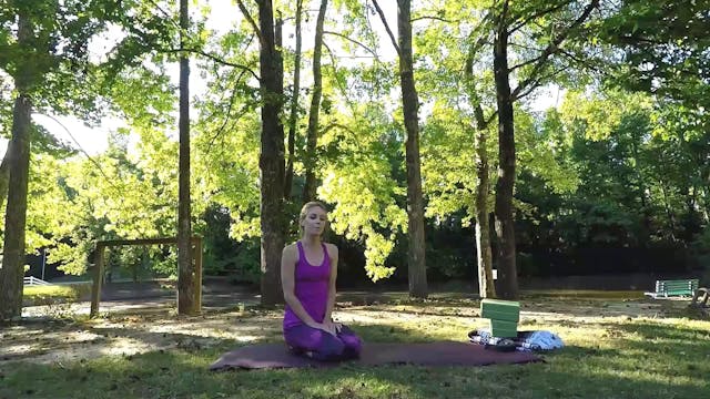 Beginner Challenge Day 20