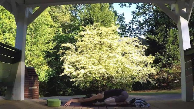 Beginner Challenge Day 17