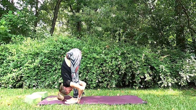 All Levels Challenge Day 25