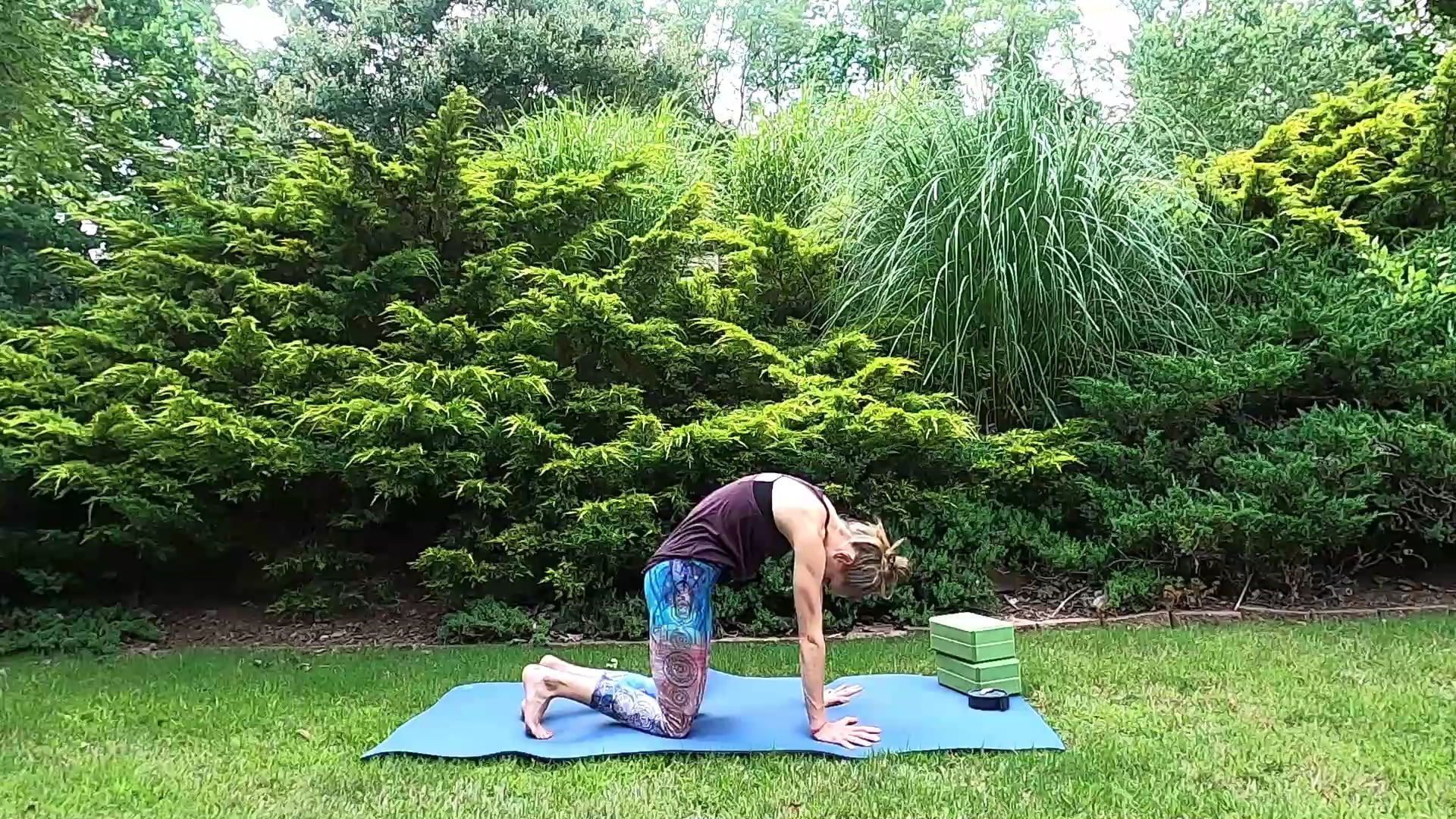 All Levels Challenge Day 6